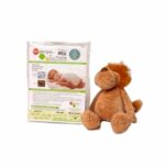 Funda Almohada Moises